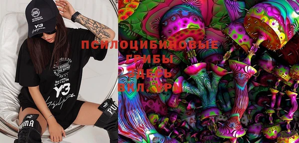 экстази Богданович