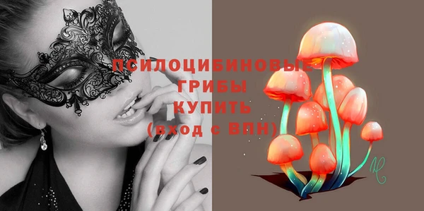 дживик Богородицк