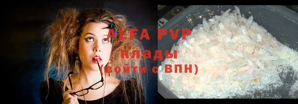 дживик Богородицк