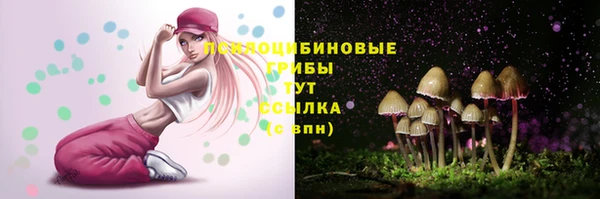 индика Беломорск