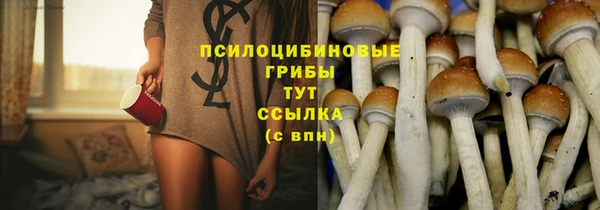 экстази Богданович