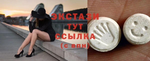 дживик Богородицк