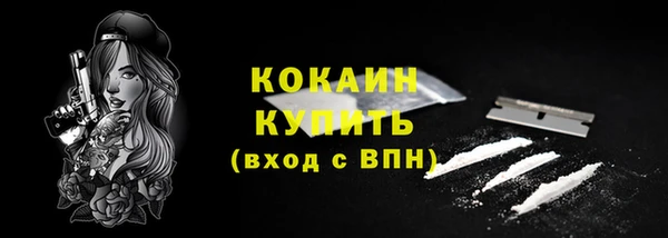 дживик Богородицк