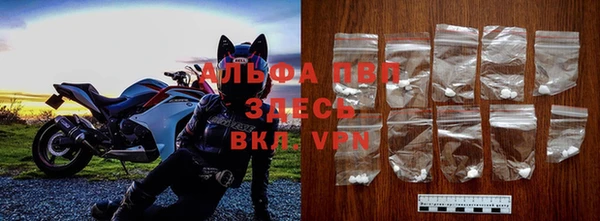 дживик Богородицк