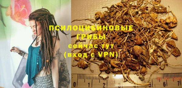 экстази Богданович