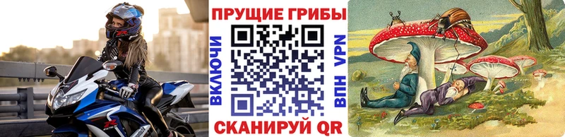 Галлюциногенные грибы прущие грибы  где можно купить   Полесск 