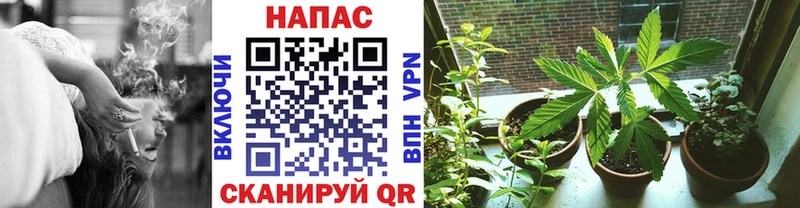 где купить наркоту это клад Марихуана SATIVA & INDICA Полесск блэк спрут как зайти